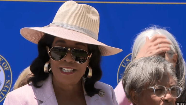 Rep. Frederica Wilson on Detention Centers: 'I Don’t Trust People with Adolescent Girls'