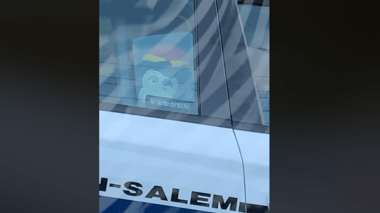 Winston-Salem police remove stuffed monkey from police car following racism complaint