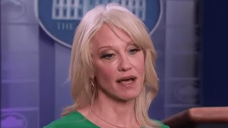 Kellyanne Conway: 'Martin Luther King Jr. would be against Trump impeachment'