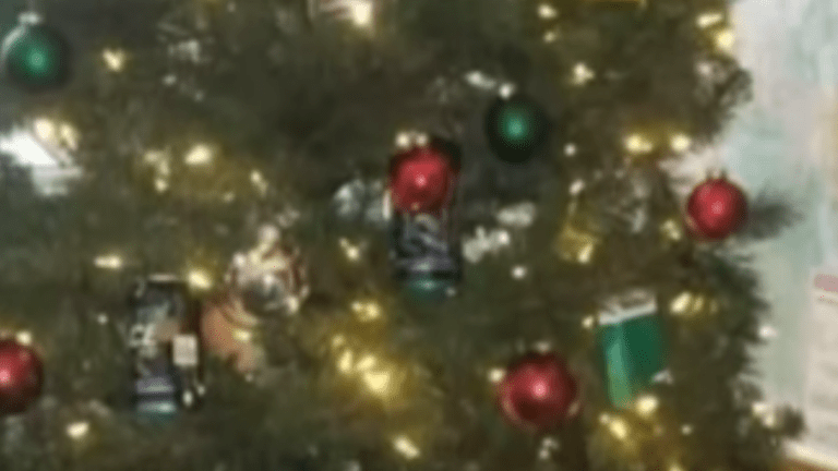 Video of Racist Tree at Minneapolis Police Fourth Precinct Is Being Reviewed