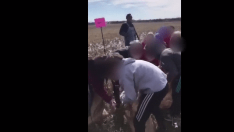 South Carolina students instructed to pick cotton, sing slave song as "game"